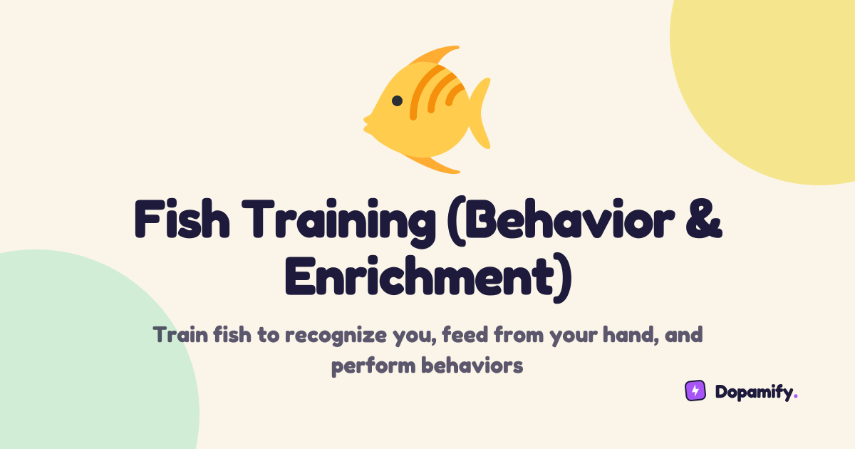 Fish Training (Behavior & Enrichment) | Dopamify